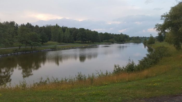 Le Parc de la Cité